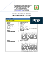 RPP Menyimpulkan Fakta Dana Dan Kata