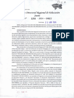 DIRECTIVA 008-2024-DGP ORIENTACIONES TRED (2)