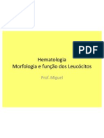 Morfologia e função dos Leucócitos