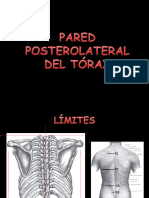 3 Pared Posterolateral Del Tórax