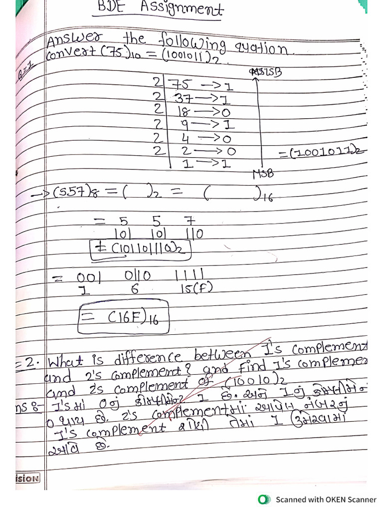 BDE Assignment Answers | PDF