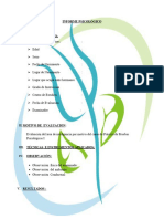 Informe MODELO - WISC - V