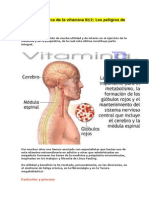 La Verdad Acerca de La Vitamina B12