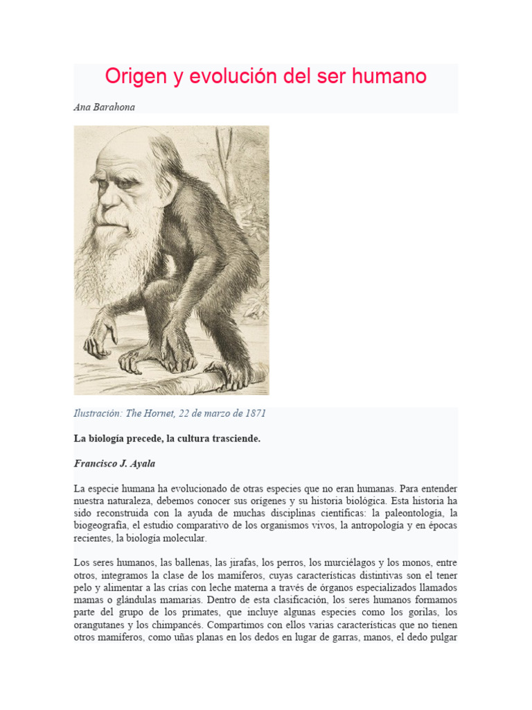 Evolución del ser humano: orígenes y rasgos | PDF | Humano | Homo