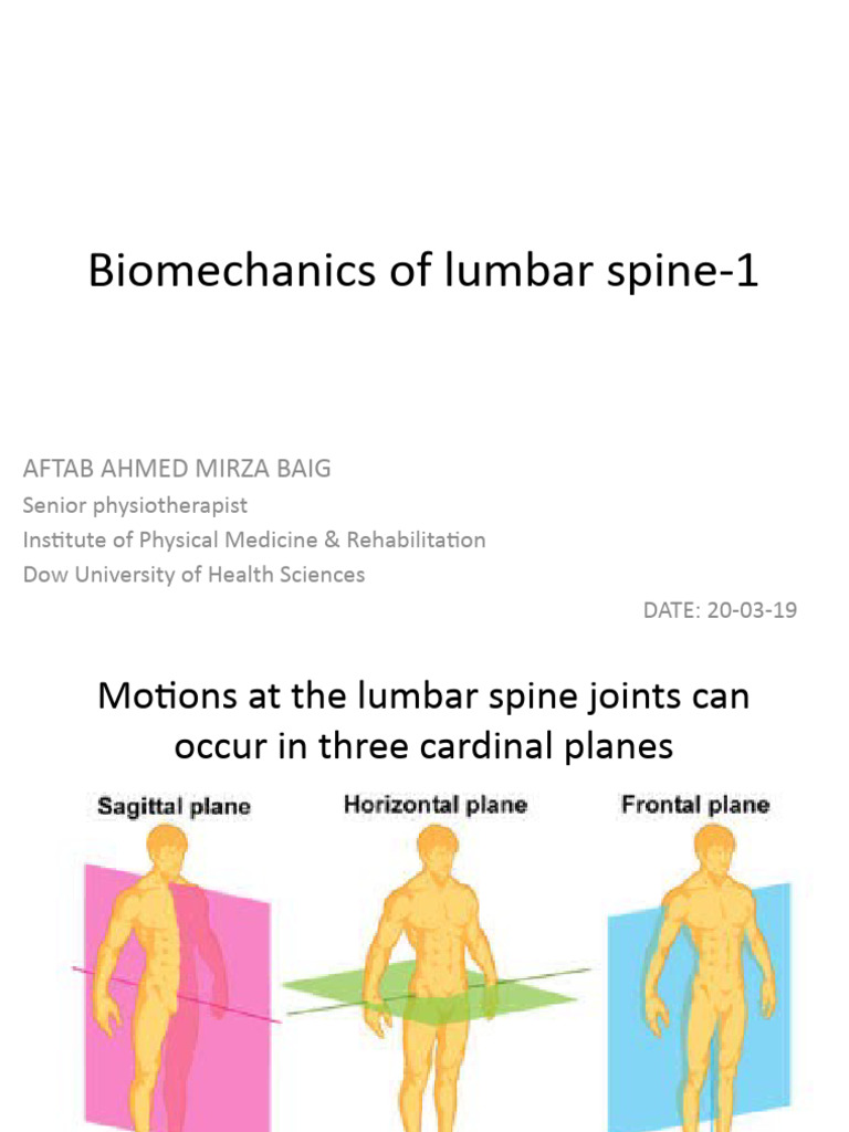 Lumbar 1 | PDF