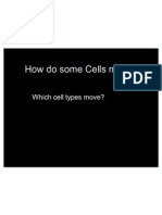 Cells Part 3 Movement,2011 12