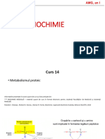 Curs 14 - Biochimie - 2023