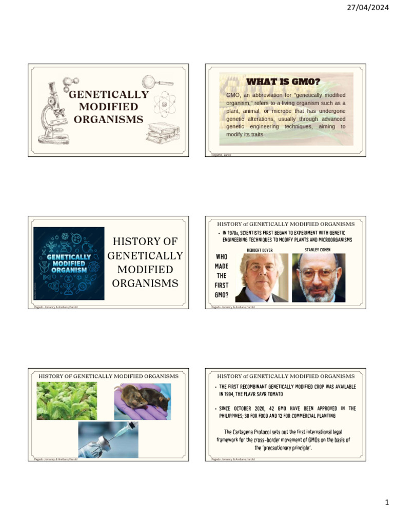 Group 3 Genetically Modified Organisms | PDF | Genetically Modified ...