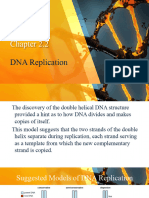 DNAReplication 103108