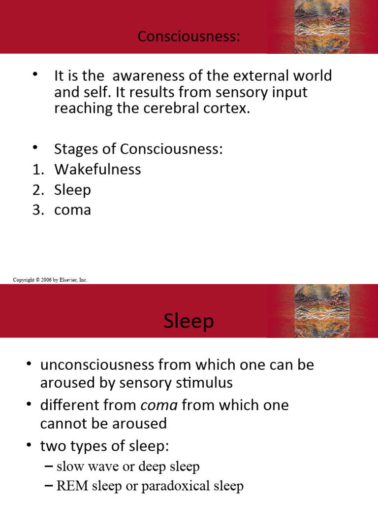 Sleep | PDF | Rapid Eye Movement Sleep | Sleep