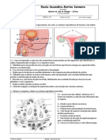 Sistema reprodutor humano