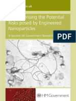 nanoparticles-riskreport07