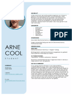 One Pager Arne Cool PDF