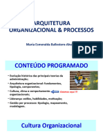 09 Cultura Organizacional [Arquitetura Organizacional & Processos]