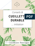 2023-Guide-Des-Plantes-Sauvages-Cueillette-Michael-Berthoud-Cueilleurs-Sauvages-Avec Compression PP