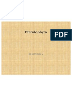 Pteridophyta Power Point