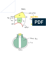 Thorax Handwritten Notes