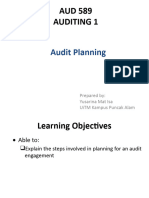 TOPIC 3d Audit Planning