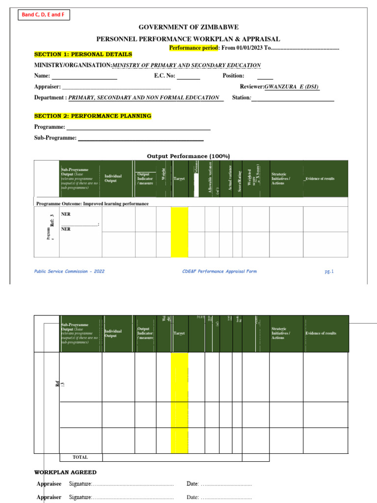 RBM Performance Appraisal Form Zimbabwe | PDF
