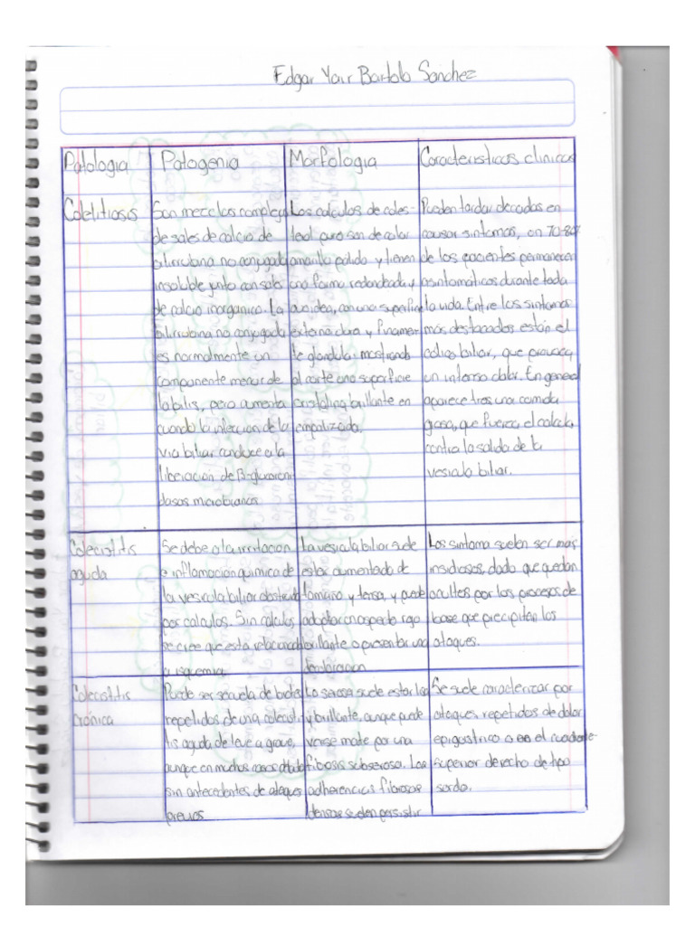 Cuadro IVU | PDF