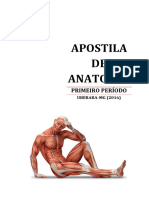 Apostila de Anatomia