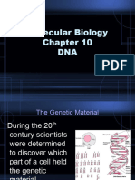Unit 6 Molecular Biology Chapter 10 PDF