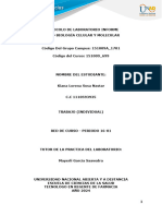 Informe Protocolo Componente Práctico 2024 - Sosa - Kiana