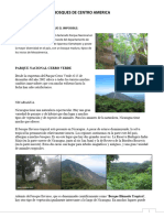 BOSQUES DE CENTRO AMERICA Geografia de Centroamerica Hidrografia Biodiversidad Fenomenos Naturales Volcanes Relieve