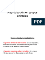 3. Reproducción Sexual en Grupos Animales.ppt