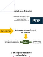 Aula 03-Metabolismo Glicídico