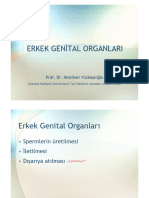 ZTBjYzNh PDF