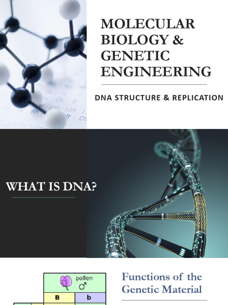 DNA Structure and Replication Overview | PDF | Dna Replication | Dna