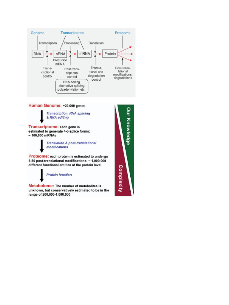 Transcriptome Genome | PDF