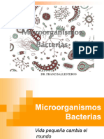 Microorganismos Bacterianas Uno