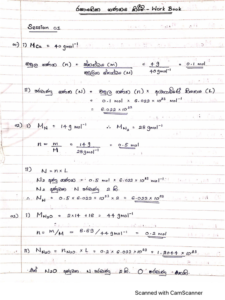 P Marking | PDF