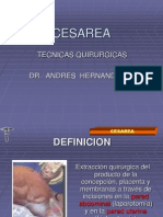 Exposicion D Cesarea