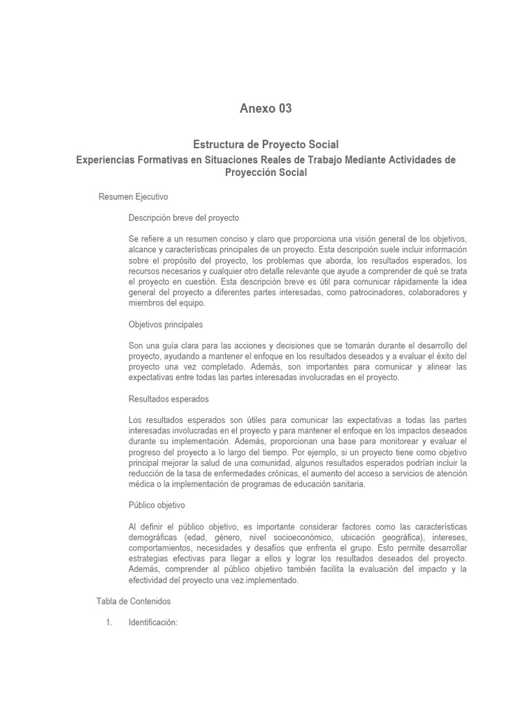 Estructura de Proyecto Social | PDF | Evaluación | Planificación