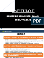 C2S1. Comite de Seguridad y Salud