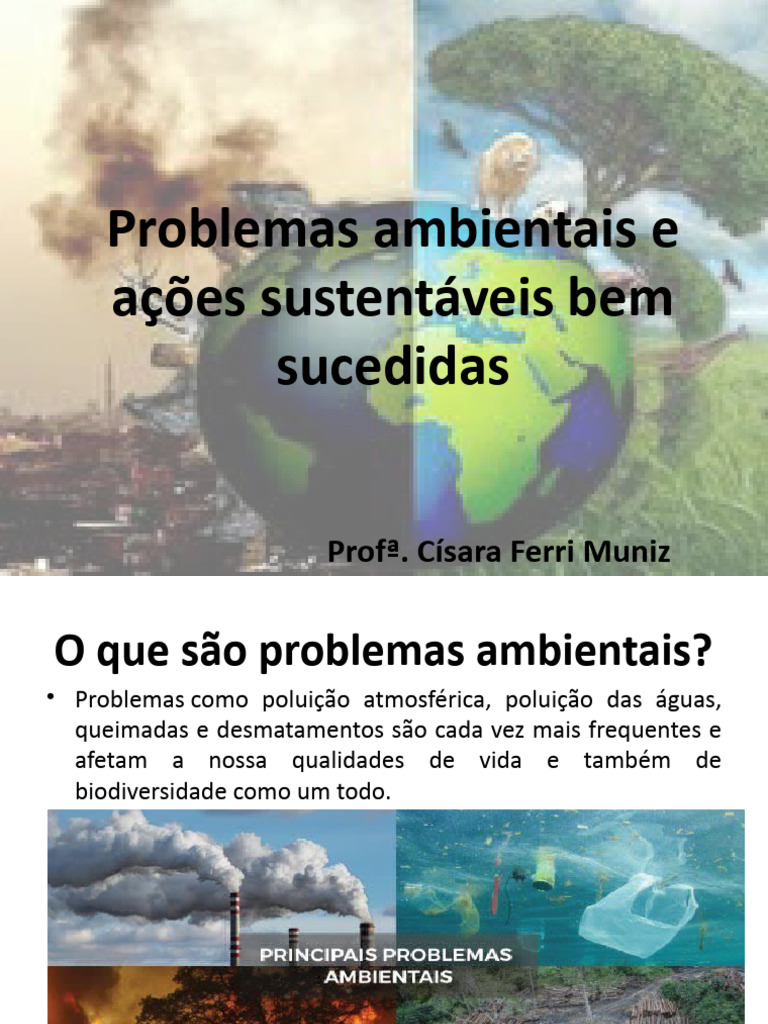 Problemas Ambientais e Soluções Sustentáveis | PDF | Desperdício | Poluição