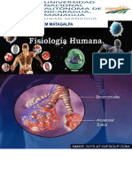 Clase Fisiología Médica 2 Del 16 de Octubre Del 2021-2