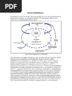 Download Circuitul Fosforului in Natura by Aura Ghenea SN73359475 doc pdf