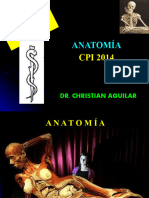 1-CFC - Osteología Mi