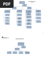 BIR Organizational Structure Overview | PDF | Audit | Taxes