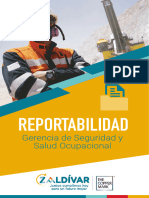 Libreta de Bolsillo - Reportabilidad.