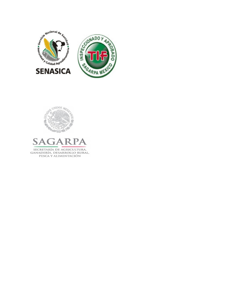 Logos Tif | PDF