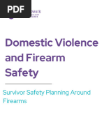 Domestic Violence and Firearm Safety Planning Toolkit 1