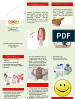 PDF Leaflet Disminor - Compress