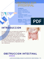 Diap. Obstruccion Intestinal