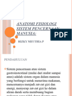 Anatomi Fisiologi Sistem Pencernaan Manusia