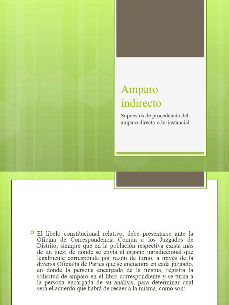 Procedimiento de Amparo Indirecto | PDF | Juez | Demanda judicial